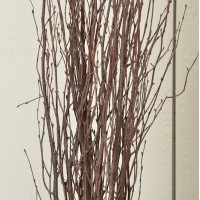 Red Glittered Birch Branches