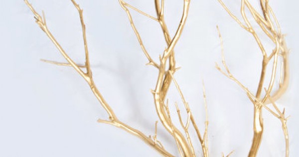 Dried Manzanita Branches - Painted Gold, Silver, White Manzanita