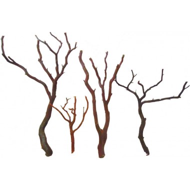 Dried Manzanita Branches - Natural Bulk Manzanita Trees