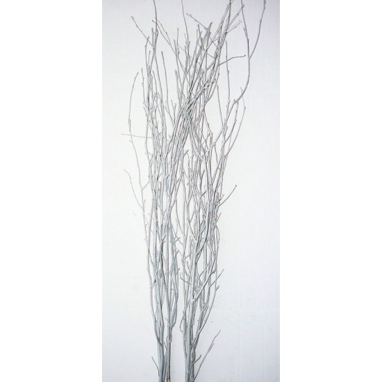 Silver Glittered Birch Branches - Silver birch