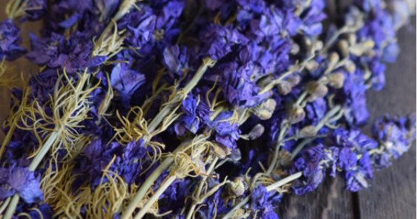 Larkspur Blue, Natural Dried Flowers