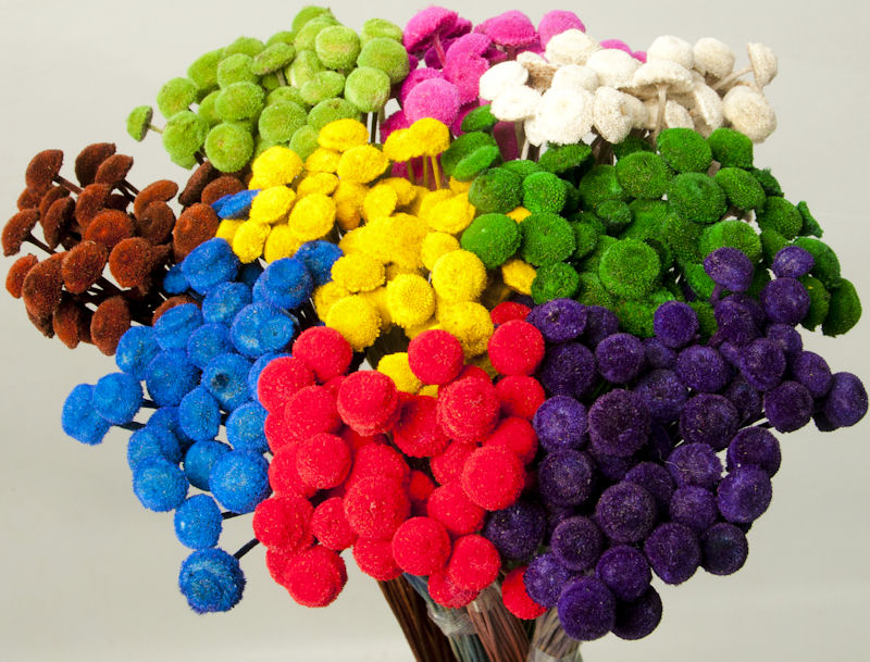 Wholesale Beautiful Flower Buttons 