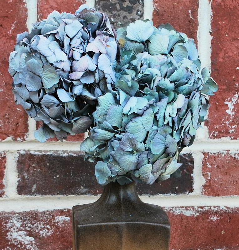 Blue Dried Flowers – MagpieBeautyUSA