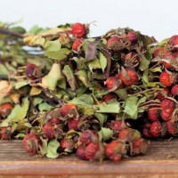 Dried Rose Hips