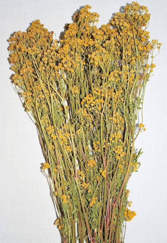 Dried Tansy Flowers