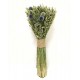 Wild and Free Echinops Oats Flower Bouquet | Oats Bouquet | Dried ...