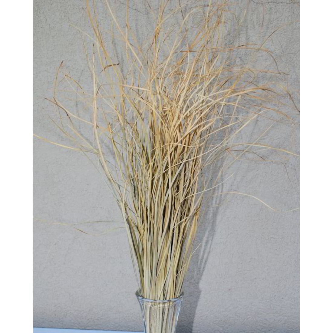 Dried Bear Grass - Decorative Bear Grass