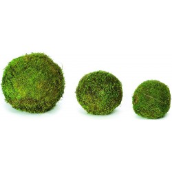 1pc 100g Natural Dried Moss Mat For Landscaping And Decoration