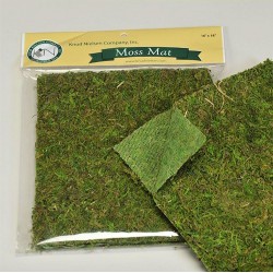 WDSLO Preserved Natural Moss 3.5 Oz/Decorative Moss for Potted Plants, Orchids, Fairy Gardens, Home Decor, Wedding Decor, Gift Baskets/Reindeer Moss