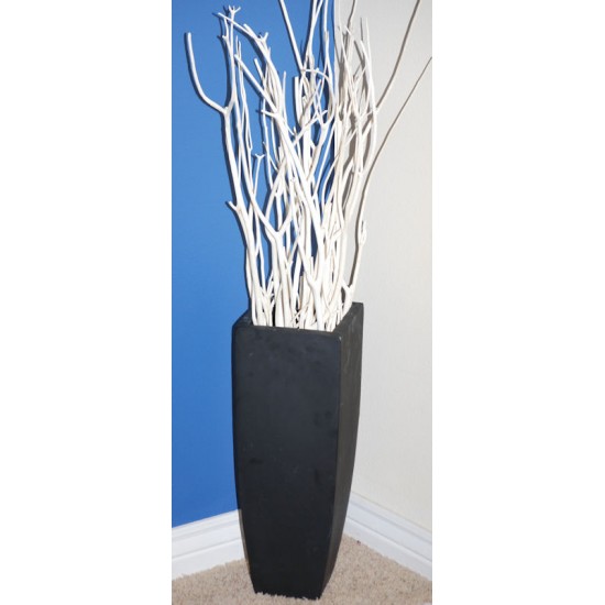 Mitsumata Branches  Decorative Branches for Vases